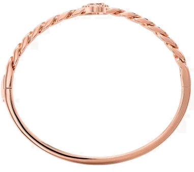 Bracelet Jonc Michael Kors en Argent et Or Rose — vue 2