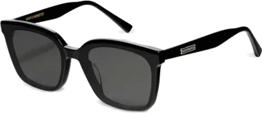 Lunettes de soleil Gentle Monster PLOT 01